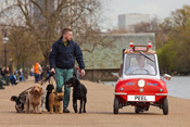 World's smallest ice cream van.