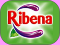 Mister Nice Cream introduces the Ribena Fruit Juices by Ribena